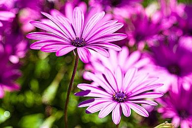 拳头：《英雄联盟》S14冠军赛将在英国伦敦举行